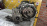 АКПП NISSAN CGA3 TR46NJE1AB CVT 4WD с фильтром Cube Z10
