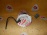 Бензонасос Mazda Premacy CWEW '2010- 101962-0391