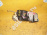 Замок двери Toyota ST180 Carina ED/Corona Exiv перед, лев