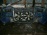 Ноускат Nissan X-Trail NT30 '2002 a/t (Синий)