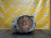 АКПП Volvo S40 B5244S4 2WD 5AT 55-51SN 30681142, 8251846 MS/MW '2004