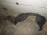 Подкрылок Mazda 3/Axela BL '2008- перед, прав Sedan