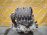 Двигатель Mercedes A-Class M266E20/266.960-30063536 A200 БЕЗ НАВЕСНОГО W169 '2005