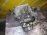 МКПП Toyota 1NZ/2NZ C51 (30300-1A801) Corolla Fielder NZE121