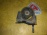 Подушка двигателя Toyota 3S-GTE Caldina ST195/ST215 4WD a/t зад. R 12371-74460 / 12371-74351