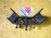 Подушка двигателя Subaru EJ205/EJ201/EJ202 Forester/Impreza SF5/SG5/GG3 акпп 41022-AC150