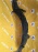 Подкрылок Mazda Premacy CP8W перед, лев деф.