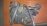 Блок круиз-контроля Lexus 162000-3560 GS300 2JZ