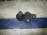 Шаровая Toyota EXZ10/#L4#/#L5#/#P8#/#9# Raum/Corsa/Starlet перед, лев