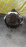МКПП Toyota 1KZ 33030-6A190 4WD Land Cruiser Prado KZJ95