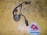 Датчик ABS Subaru Legacy BH5/BHE F