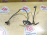 Датчик ABS Toyota RAV4 SXA10/SXA11/SXA15/SXA16 перед, лев 89543-42020/89543-42030