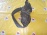 Подкрылок TOYOTA Lite Ace Noah/Town Ace Noah CR40/CR50 '10.1996-12.1998 перед, прав 53875-28030