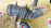Гофра впускного коллектора Nissan SR18-DE Bluebird EU14 '01.1996-09.1998 2WD резиновая мкпп=акпп 165788E500