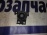 Заглушка в бампер Nissan Presage U31 L 62257-CN000