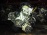 Двигатель Chevrolet Spark LMT/B10D1-455910KC3 1.0L Dohc AT Daewoo Matiz M300 '2010-