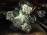 Двигатель Chevrolet Spark LMT/B10D1-638410KC3 1.0L Dohc AT Daewoo Matiz M300 '2010-