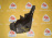 Подкрылок Toyota Vitz NCP10 зад, лев 52592-52060/70