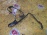 Датчик ABS Toyota Harrier MCU15/SXU15 перед, прав 89542-48010. с фишкой.