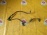 Датчик ABS Toyota Harrier GSU35/MCU35 перед, лев