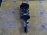 Стойка Hyundai GK/CB Tiburon G4GC '2001- перед, прав 2.0L 54661-2C000