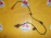 Датчик ABS Honda Stepwgn RF1/RF2 перед, лев