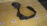 Подкрылок Toyota Corolla Axio/Corolla Fielder NZE140 перед, прав 53875-12440