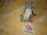 Кронштейн опоры двигателя Audi AUK/BDW A6 C6/4F2 '2005-2011 3.2 FSI перед, прав 4F0199308N