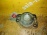 Подушка двигателя Chevrolet L14/L95/F14D3/L44/LXT/F16D3 Lacetti J200 правая верхняя [C1] перед, прав в 96550225