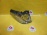 Стоп Mazda P5134 L MPV LY3P