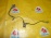 Датчик ABS Toyota Altezza/Brevis/Mark II Wagon Blit/Progres/Verossa GXE10/JCG10/GX110/ перед, лев 89543-30230/89543-53010