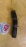 Патрубок  радиатора Toyota 16571-70230 Mark II GX90 1G-FE L в F верх.