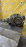 АКПП Mitsubishi 4A91 W1C1A1M2Z 4WD CVT БЕЗ РАЗДАТКИ Colt Z24A