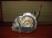 АКПП Chevrolet Aveo LMU/B12D1 1.2L 16V MLQ AW80-40LE 4AT (S1) T250/T255 96423626