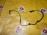 Датчик ABS Chevrolet Cruze J300 F L=R 12842463