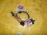 Датчик ABS Toyota Porte NNP11 перед, лев