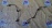 Датчик ABS Subaru Legacy/Outback BRM зад, лев 27540AJ070