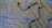 Датчик ABS Subaru Legacy/Outback BR9/BM9 зад, прав 27540AJ020