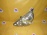 Фара HONDA P4944 лев Fit GD1 '2003 хром