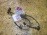 Датчик ABS Toyota Harrier MCU15 зад, прав 89545-48020