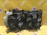 Радиатор охлаждения Subaru BR9/BM Outback/Legacy B4 EJ253 '2009-2014 a/t