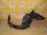 Подкрылок SUBARU Legacy BR9/BRM перед, прав дефект 59110-AJ001