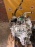 АКПП NISSAN HR15 RE0F08B / 31020-1XC1A 2WD CVT с селектором ПОД ТЕПЛООБМЕННИК Tiida C11