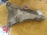Кронштейн опоры двигателя BMW N46B20BA 3-Series E90 22116764574 перед, прав 22116760308