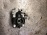 Насос акпп Nissan X-Trail/Dualis/Qashqai T31/J10 MR20/QR25