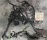 Коса ДВС Toyota 4S-FE SV32 + компьютер 89661-32760 трамб. коса 82121-3H580