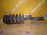 Стойка BMW E53 X5 M54B30/306S3 '1999-2006 перед, прав 3.0i 31306754342 31316764604