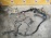Коса ДВС Toyota 5S-FE Camry Gracia SXV20 2WD a/t +комп. 89661-3T110, A140E-02A, кат. 82121-3T150