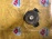Подушка двигателя Toyota 2AR Camry ASV50 F