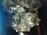 АКПП Hyundai Grandeur L6EA 2WD 2.7L 5AT A5HF1 U5KDD2 TG/EL